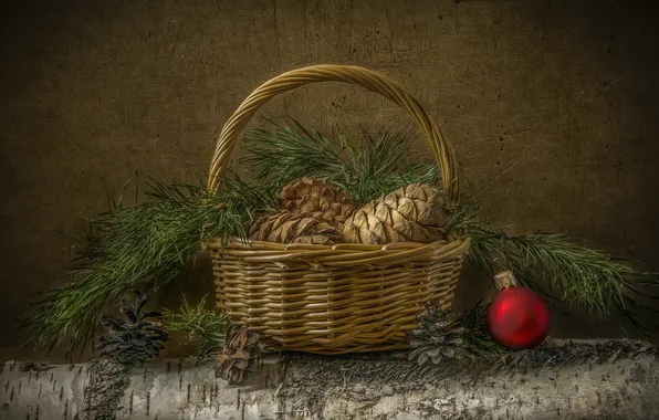 Branches, red, toy, treatment, bouquet, texture, ball, Christmas