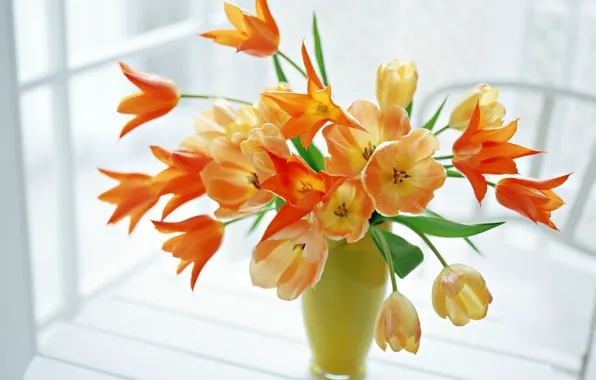Picture vase, flowers, table, window, tulips in the green vase, tulips