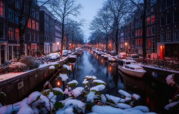 Picture winter, light, snow, lights, morning, Amsterdam, channel
