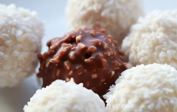 Picture macro, the sweetness, chocolate, candy, coconut
