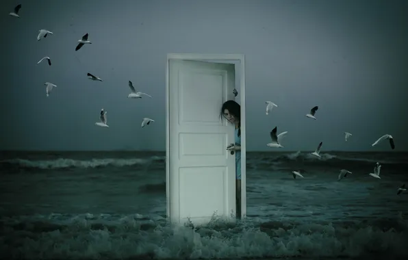 Picture sea, girl, birds, the situation, the door