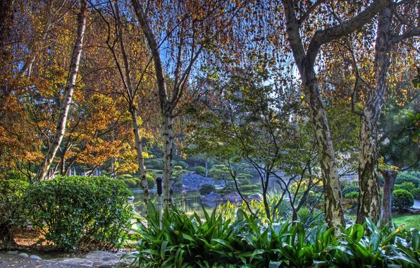 Autumn, trees, pond, Park, stones, HDR, CA, USA