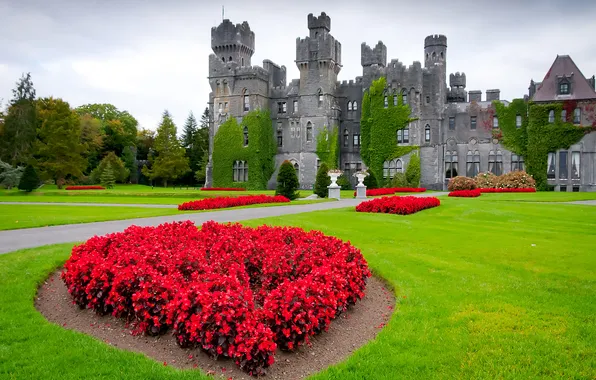 Picture gothic, flowers, fortress, garden, famous, fort, exterior, fortification