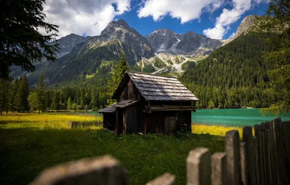 Greens, forest, mountains, Alps, house