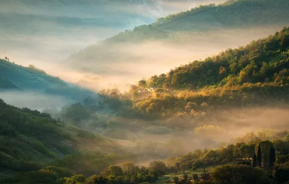 Forest, light, trees, mountains, fog, dawn, hills, the slopes