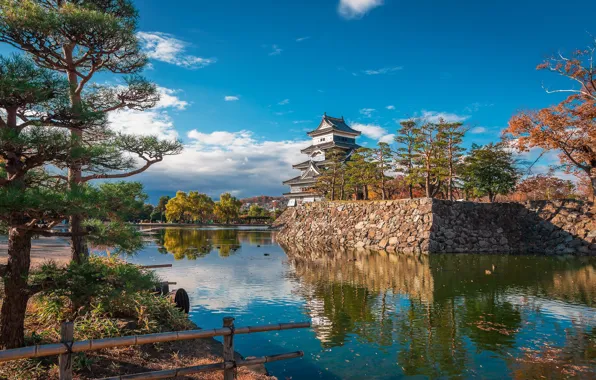 Water, trees, castle, Japan, pine, Japan, ditch, Matsumoto