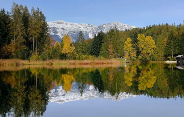Picture autumn, forest, snow, trees, mountains, yellow, reflection, shore