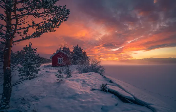 Winter, snow, trees, sunset, Norway, house, Norway, RINGERIKE