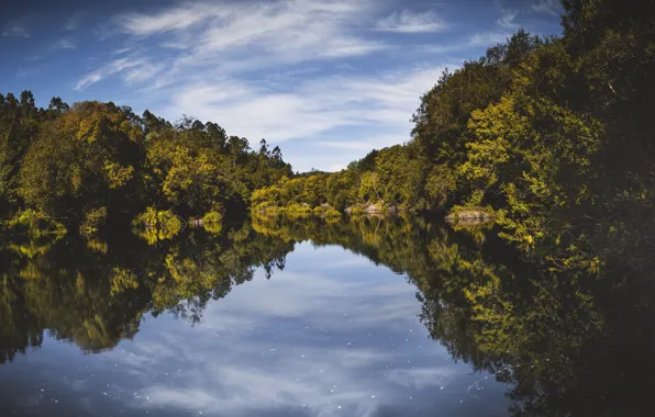 Picture reflection, trees, sky, river