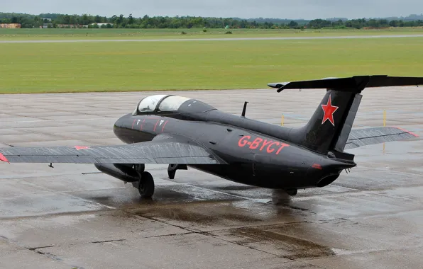 The plane, Aero, training, "Dolphin", L-29
