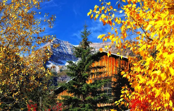 Nature, Autumn, Forest, House, House, Nature, Autumn, Forest