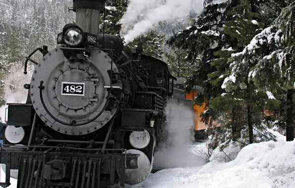 Picture winter, forest, snow, trees, mountains, movement, the engine, cars