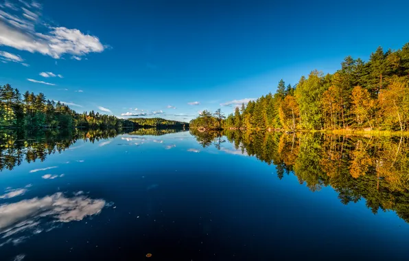 Autumn, forest, lake, reflection, Norway, Norway, Buskerud, Buskerud