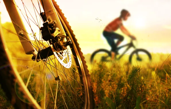 Legs, bike, sunset, cycling