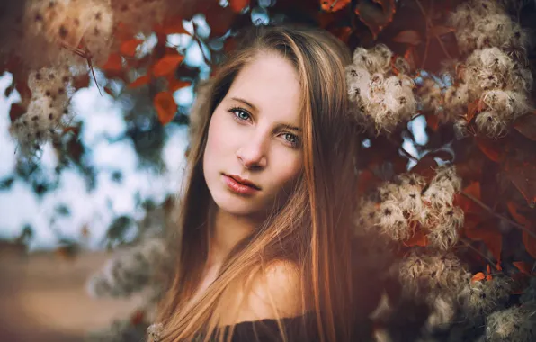 Picture look, leaves, girl, trees, branches, sweetheart, portrait, blonde