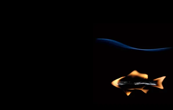 Creative, fire, fish, fish, match, author, black background, Stanislav Aristov
