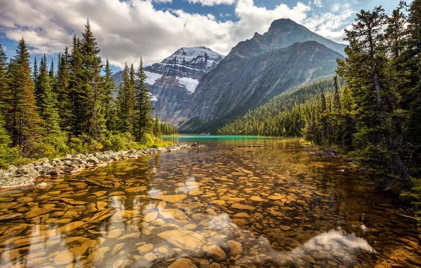 Picture forest, trees, mountains, lake, Canada, Albert, Alberta, Canada