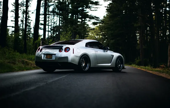 Picture GTR, Nissan, wheels, sports car, Nissan, stance, rearside