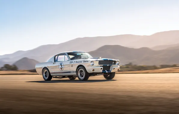 Picture Mustang, Ford, Shelby, 1965, GT350, Shelby GT350