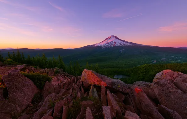 Forest, summer, light, sunset, stones, mountain, USA, Oregon