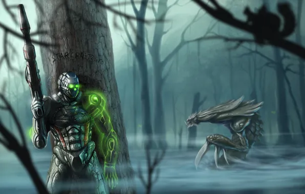 Picture fog, weapons, tree, swamp, monster, warrior, protein, starcraft