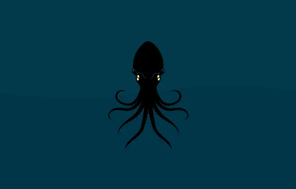 Picture animal, octopus, Octopus