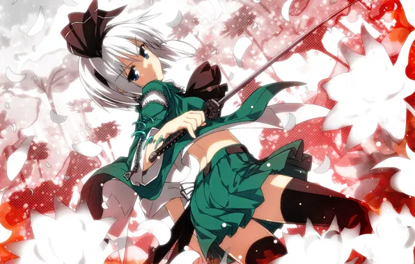 Picture girl, weapons, katana, stockings, petals, sword, legs, touhou