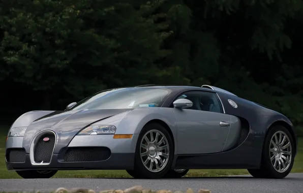 Picture veyron, bugatti, gray