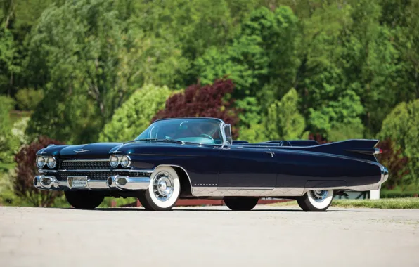 Eldorado, Cadillac, Eldorado, classic, the front, 1959, Cadillac, Biarritz