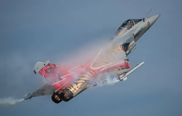 Picture fighter, multipurpose, Dassault Rafale, "Rafale"