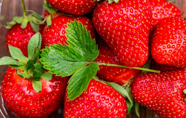 Picture macro, berries, strawberry, leaf