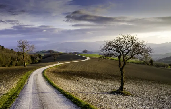 Picture road, field, landscape