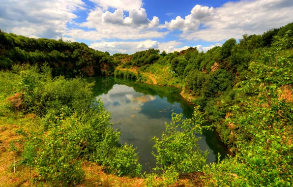 Greens, clouds, branches, lake, England, the bushes, Lancashire