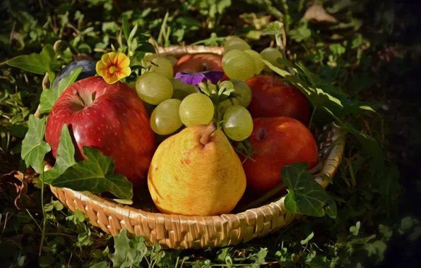 Picture Figure, Fruit, Art, Art, Still life