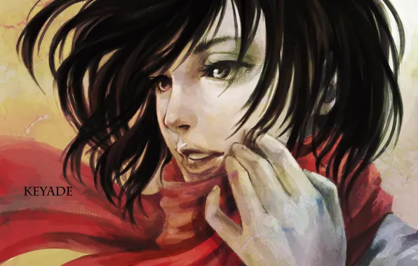 Picture look, girl, face, hair, anime, art, Mikasa Ackerman, Attack Of The Titans