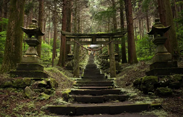 Ladder, temple, torii, by roll sausage