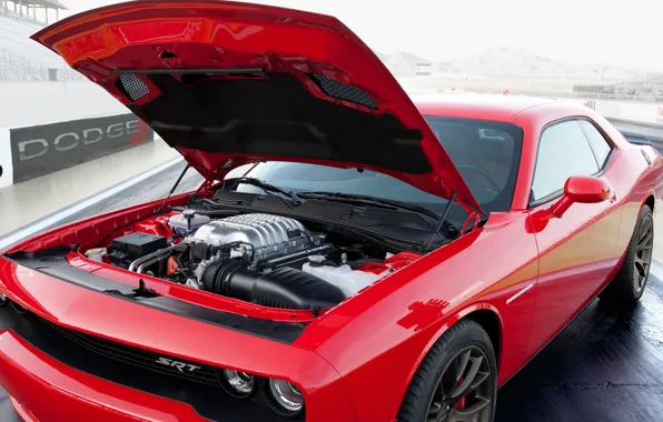 Engine, Dodge, Challenger, Muscle Car, Supercharger, 2015, SRT Hellcat