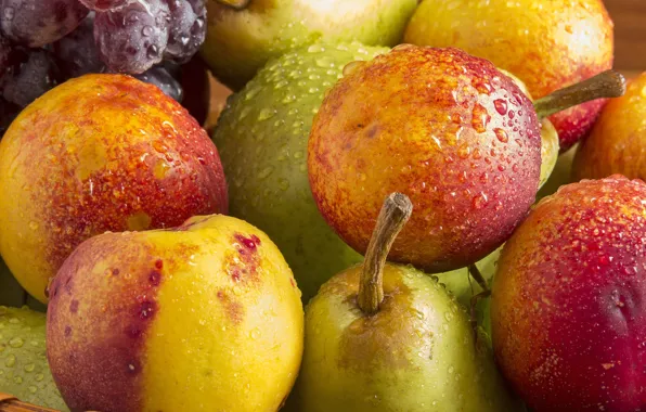 Drops, yellow, harvest, green, grapes, red, fruit, pear