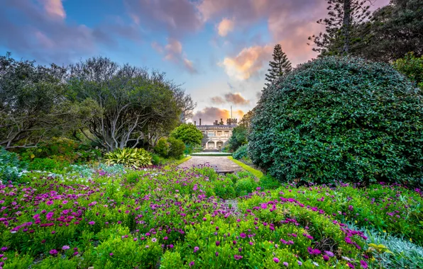Nature, building, garden, Sydney, Government House, the Royal Botanic Gardens