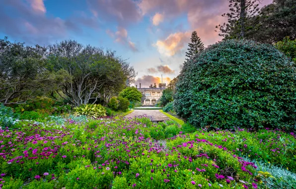 Nature, the building, garden, Sydney, Government House, the Royal Botanic Gardens