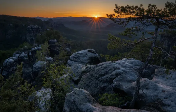 Forest, the sky, the sun, rays, light, sunset, mountains, branches