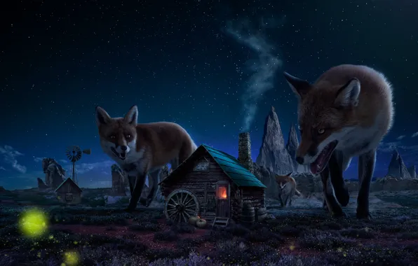 Picture night, house, figure, Fox