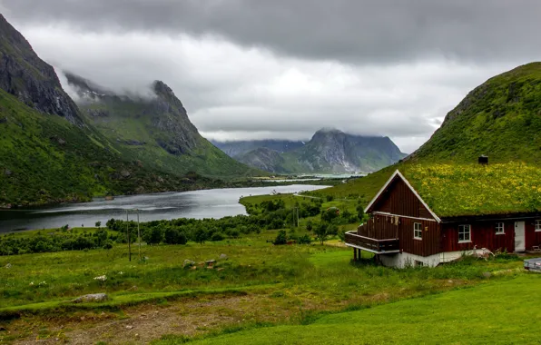 Greens, grass, clouds, trees, mountains, clouds, overcast, rocks
