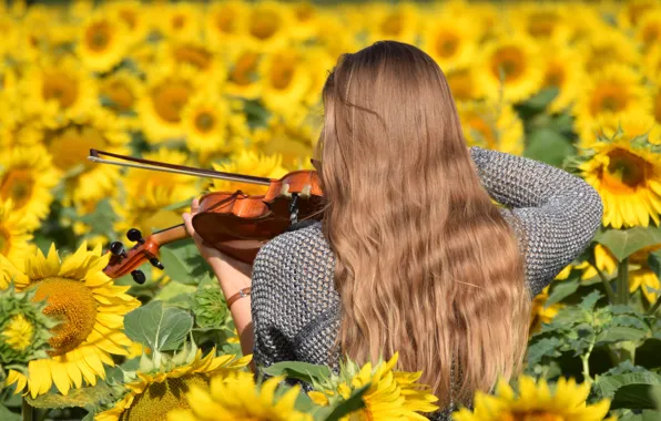 Picture girl, sunflowers, flowers, yellow, music, violin, hair, the game