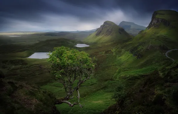 Picture stones, tree, rocks, island, mountain, Scotland, Skye