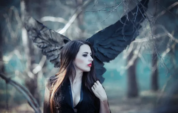 Angel, brunette, forrest, black wings