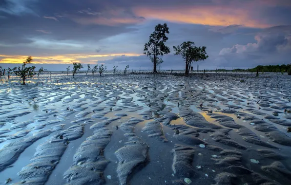 Field, water, landscape, nature