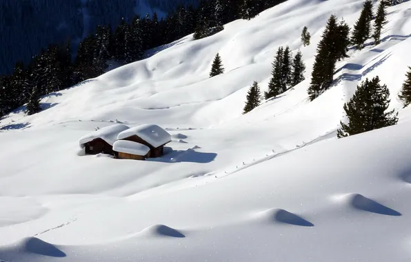 Picture winter, snow, mountains, nature, house, slope