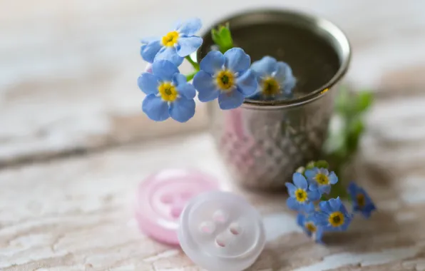 Macro, flowers, buttons
