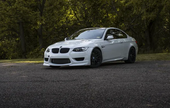 Picture E92, Trees, M3